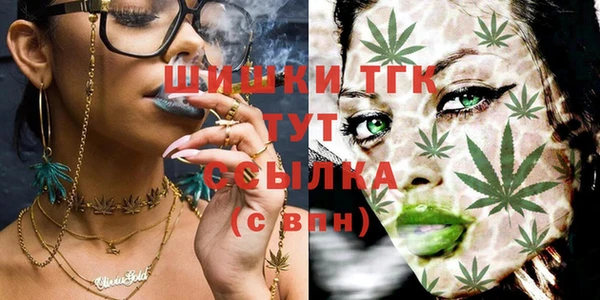 mix Осинники