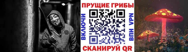 Галлюциногенные грибы мицелий  Нижняя Салда 
